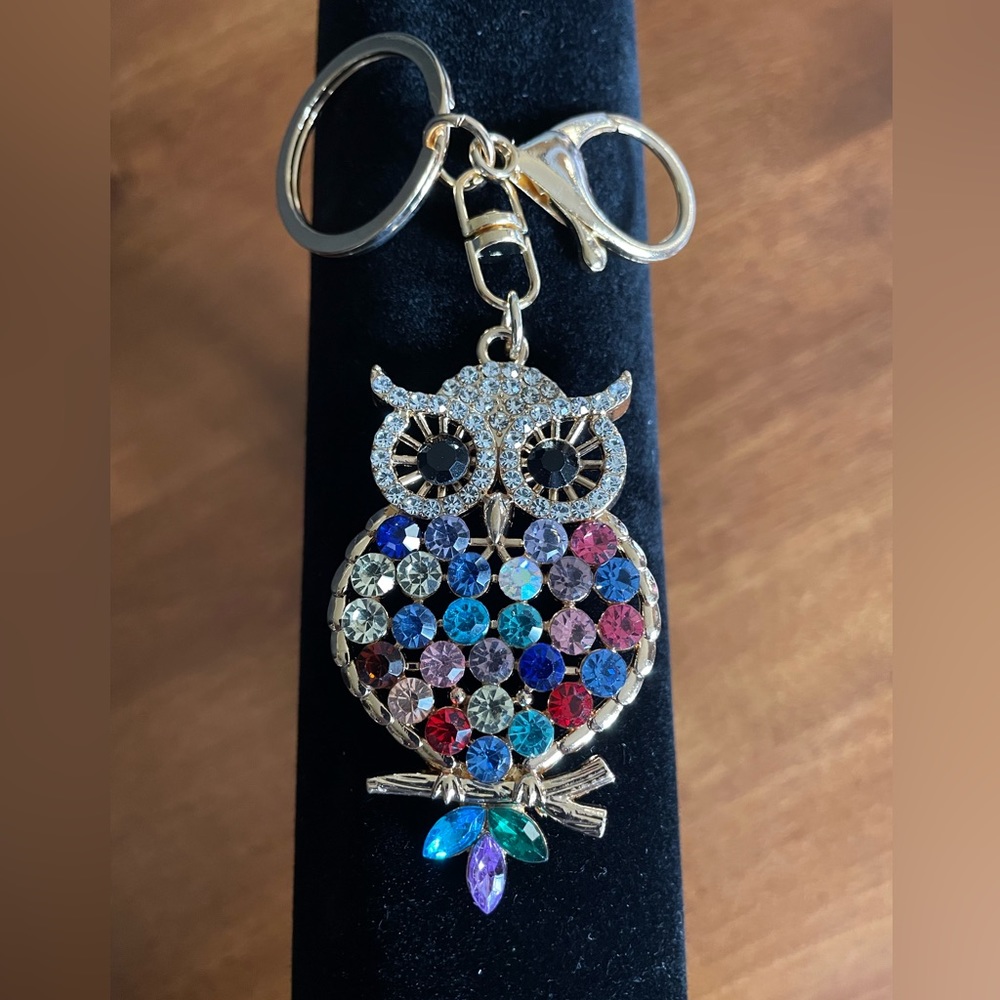 Pocketbook Charm Or Keychain. Multi colored Owl With Gold Tone Hardware. NWT